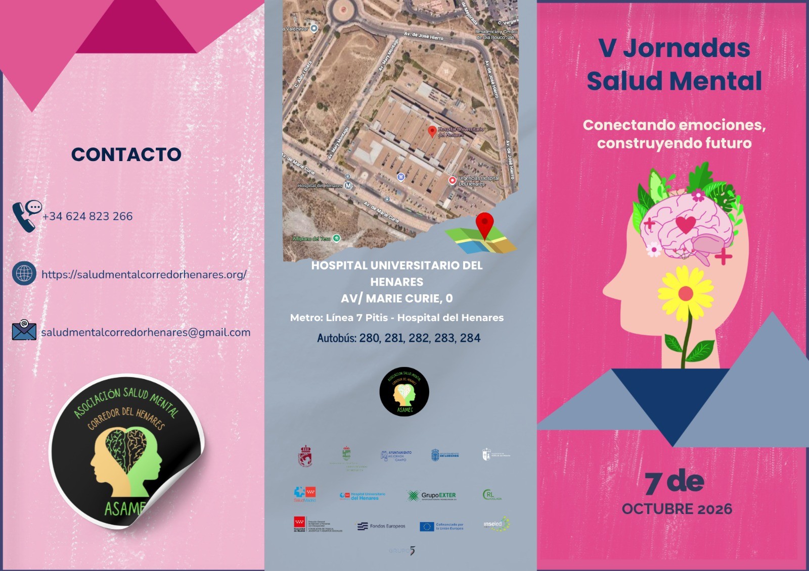 V JORNADAS SALUD MENTAL