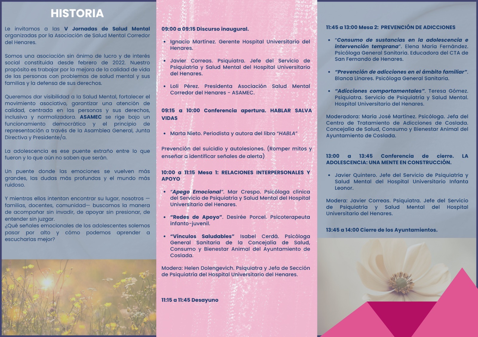 V JORNADAS SALUD MENTAL